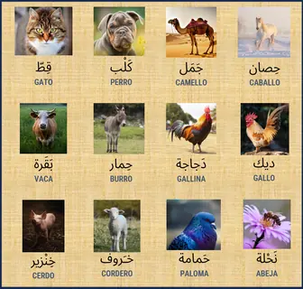 Vista previa: Animales domésticos