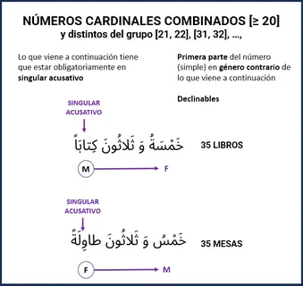 Vista previa: Cardinales combinados [≥20]