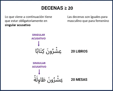 Vista previa: Cardinales: decenas ≥20