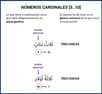 Vista previa: Cardinales [3..10]
