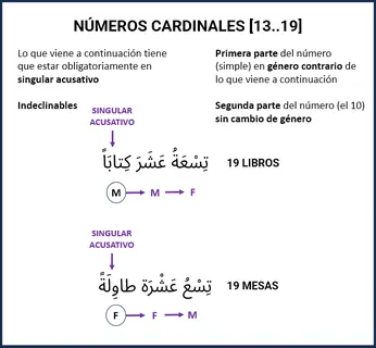 Vista previa: Cardinales [13..19]