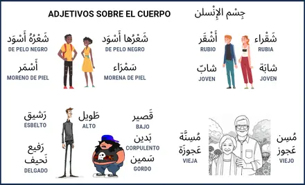 Vista previa: Adjetivos sobre el cuerpo