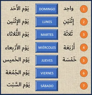 Vista previa: Días de la semana
